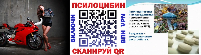 Купить  Большой Камень  Псилоцибиновые грибы Magic Shrooms 